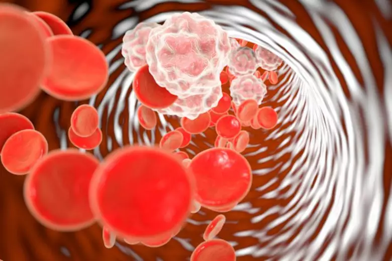 Wenn das Immunsystem außer Kontrolle gerät – Autoinflammatorische Krankheiten im Fokus