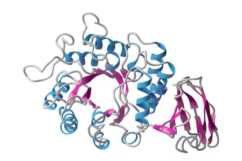 Ihr Überblick über das Erkrankungsbild Morbus Fabry